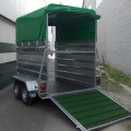 GANADERO C-1-4_54